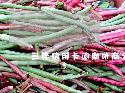 三张信用卡逾期协商分期成功 三张信用卡逾期协商分期成功