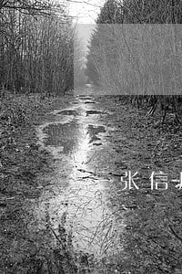 三张信用卡逾期怎么办 三张信用卡逾期怎么办