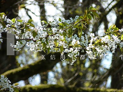 三张信用卡都逾期三个多月了怎么办 三张信用卡都逾期三个多月了怎么办