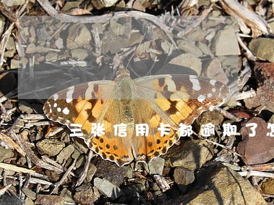 三张信用卡都逾期了怎么办 三张信用卡都逾期了怎么办