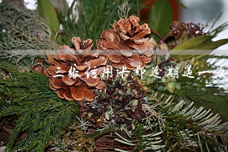 三张信用卡都逾期过一次 三张信用卡都逾期过一次