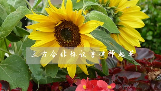 三方合作协议书律师起草 三方合作协议书律师起草