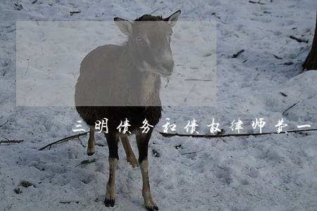 三明债务和债权律师费一般是多少 三明债务和债权律师费一般是多少