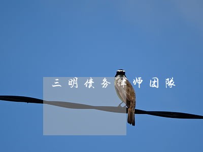 三明债务律师团队