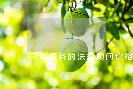 三明债务的法律顾问价格 三明债务的法律顾问价格