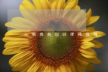 三明债务纠纷律师咨询 三明债务纠纷律师咨询
