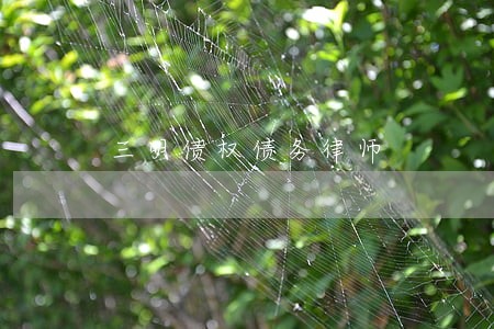 三明债权债务律师 三明债权债务律师