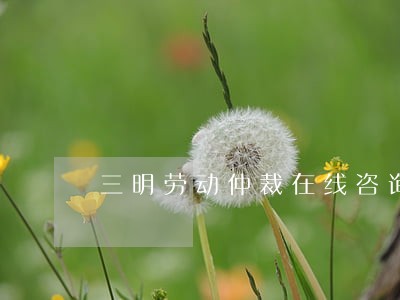 三明劳动仲裁在线咨询 三明劳动仲裁在线咨询