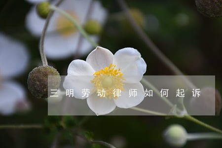 三明劳动律师如何起诉 三明劳动律师如何起诉