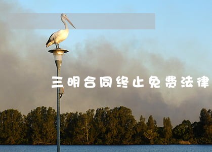 三明合同终止免费法律咨询热线 三明合同终止免费法律咨询热线
