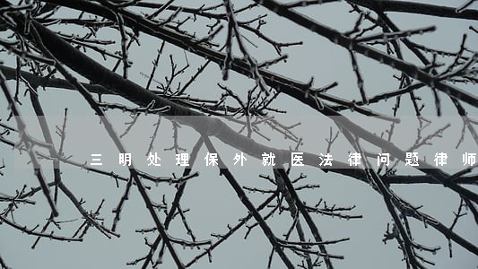 三明处理保外就医法律问题律师 三明处理保外就医法律问题律师