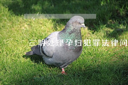 三明处理孕妇犯罪法律问题律师 三明处理孕妇犯罪法律问题律师