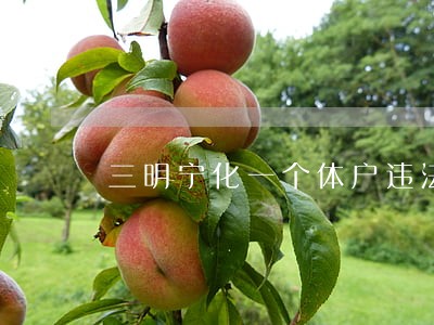 三明宁化一个体户违法新建加油站 三明宁化一个体户违法新建加油站