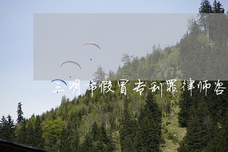 三明市假冒专利罪律师咨询 三明市假冒专利罪律师咨询