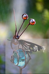 三明市危害公共安全罪律师咨询 三明市危害公共安全罪律师咨询