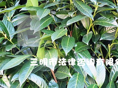 三明市法律咨询有限公司 三明市法律咨询有限公司