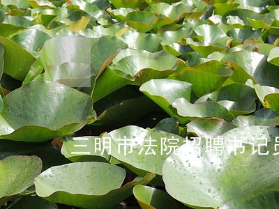 三明市法院招聘书记员