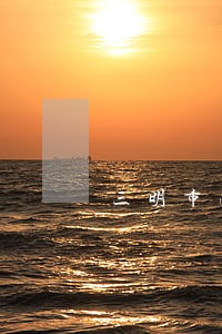 三明市法院罗继民 三明市法院罗继民