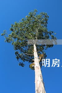 三明房产拍卖淘宝司法 三明房产拍卖淘宝司法