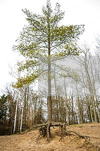 三明梅列法院领导班子 三明梅列法院领导班子