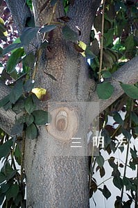 三明法律咨询解答价位 三明法律咨询解答价位