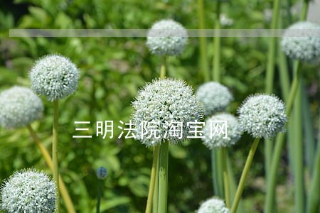 三明法院淘宝网 三明法院淘宝网