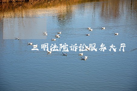 三明法院诉讼服务大厅