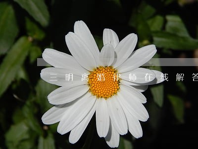 三明离婚律师在线解答 三明离婚律师在线解答