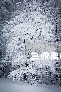 三明离婚诉讼大概多少钱