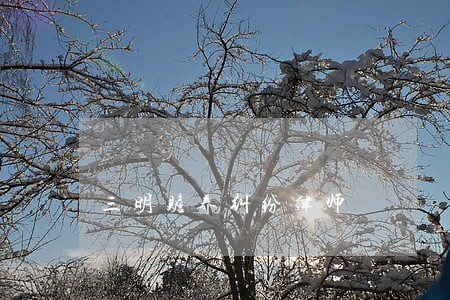 三明赡养纠纷律师 三明赡养纠纷律师