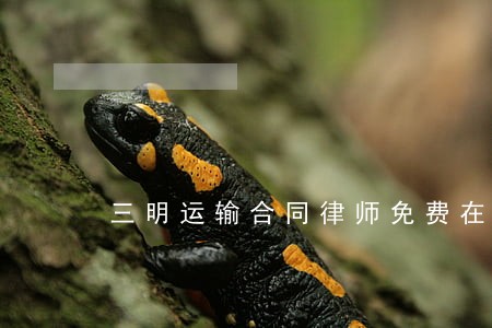 三明运输合同律师免费在线咨询 三明运输合同律师免费在线咨询