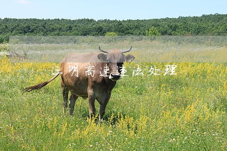 三明高速违法处理 三明高速违法处理