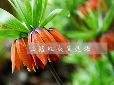 三楂红众筹违法