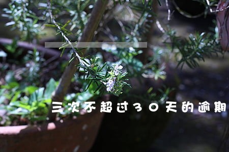 三次不超过30天的逾期 三次不超过30天的逾期