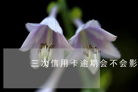 三次信用卡逾期会不会影响房贷 三次信用卡逾期会不会影响房贷