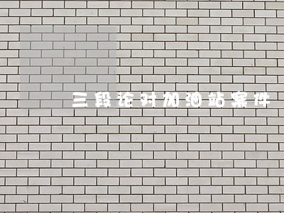 三段论对加油站案件 三段论对加油站案件