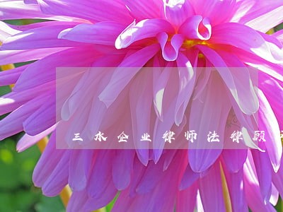 三水企业律师法律顾问 三水企业律师法律顾问