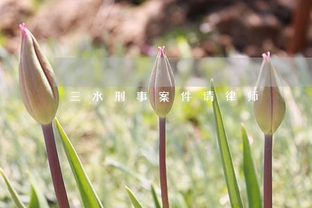 三水刑事案件请律师 三水刑事案件请律师