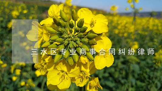 三水区专业商事合同纠纷律师