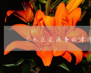 三水区交通事故律师服务平台 三水区交通事故律师服务平台