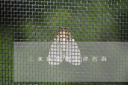 三水区免费法律咨询 三水区免费法律咨询