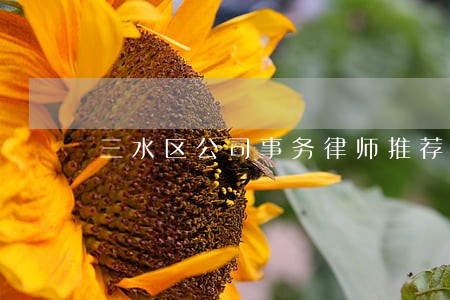 三水区公司事务律师推荐 三水区公司事务律师推荐