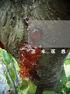 三水区合同起草律师 三水区合同起草律师