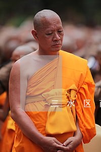 三水区商标撤销律师电话 三水区商标撤销律师电话