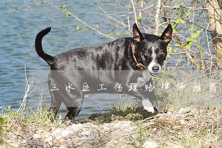 三水区工伤理赔律师推荐 三水区工伤理赔律师推荐