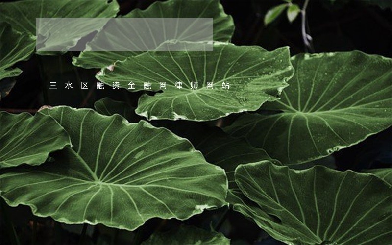 三水区融资金融网律师网站 三水区融资金融网律师网站