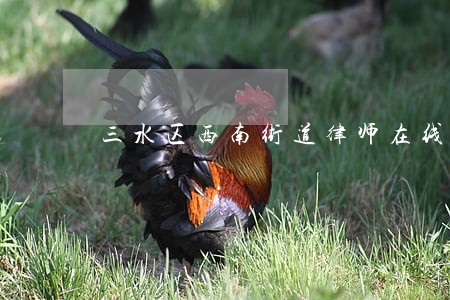 三水区西南街道律师在线解答 三水区西南街道律师在线解答