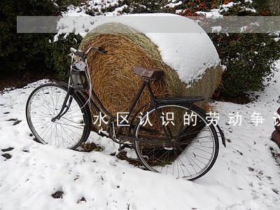 三水区认识的劳动争议律师咨询 三水区认识的劳动争议律师咨询