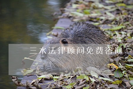 三水法律顾问免费咨询 三水法律顾问免费咨询