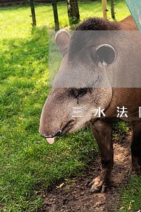 三水法院发布1份悬赏公告 三水法院发布1份悬赏公告